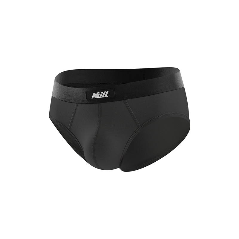 Briefs