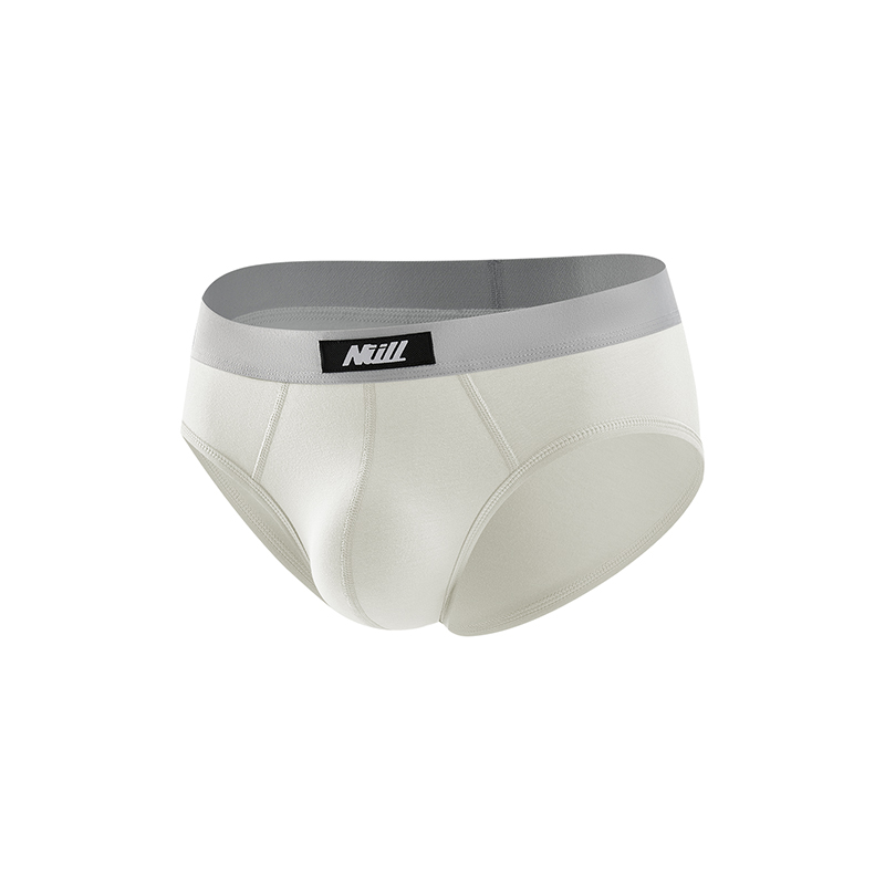 Briefs