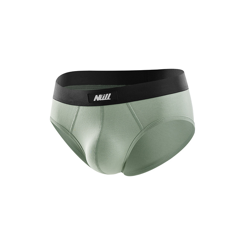 Briefs